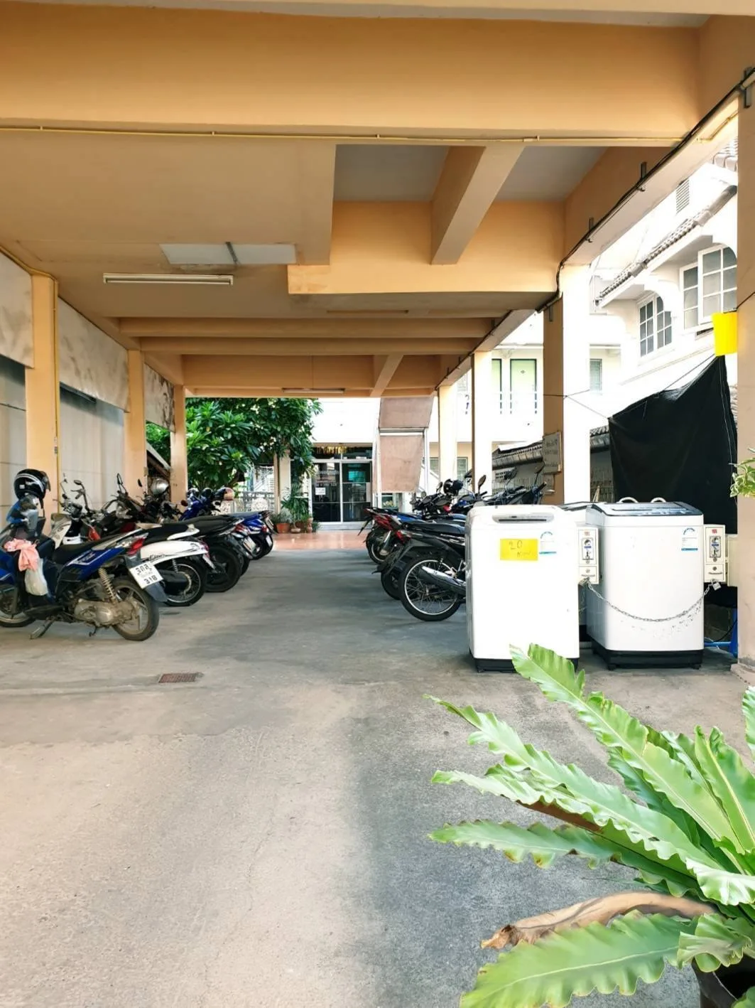 เคียงดอยคอร์ท — 4